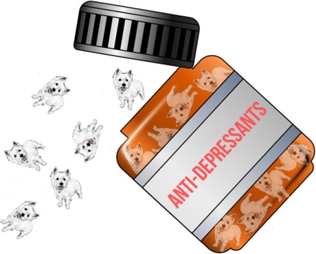 Nadruk Damska Westie Anti-Depressants - Przód