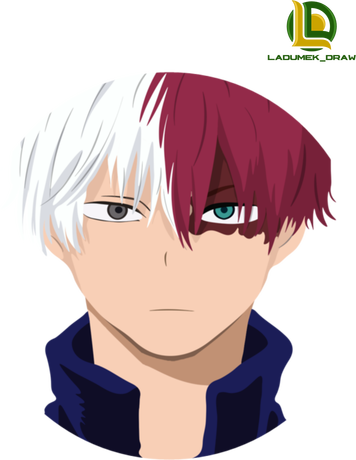 Nadruk BNHA Todoroki - Przód